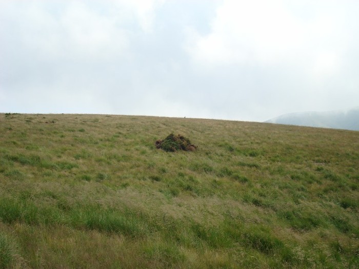 DSC07958