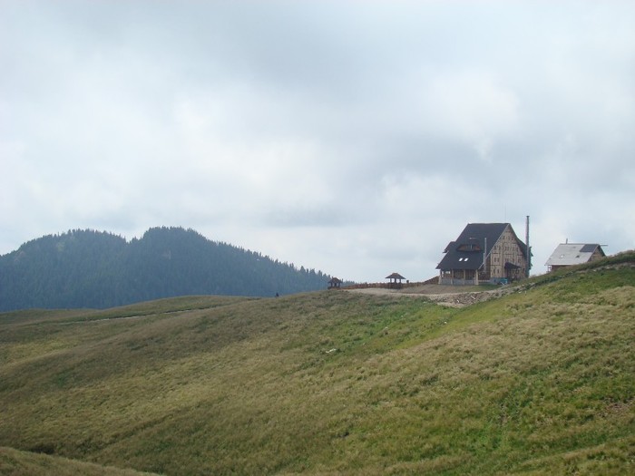 DSC07959