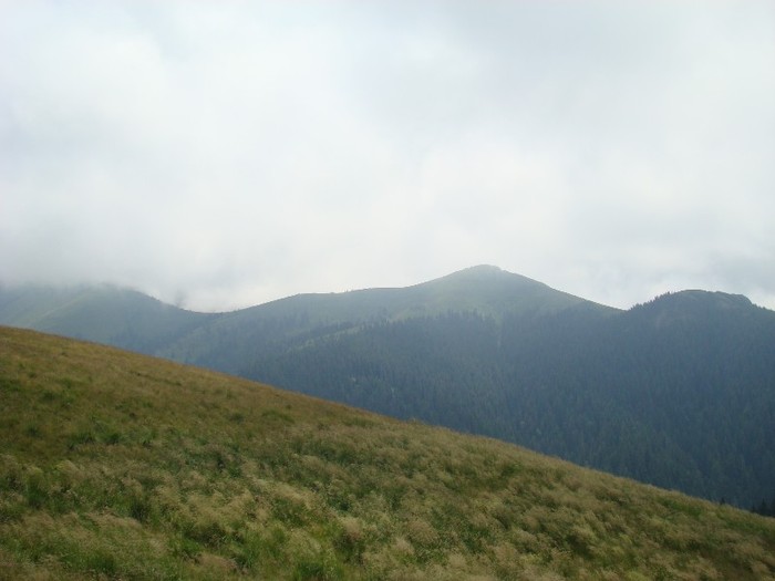 DSC07961