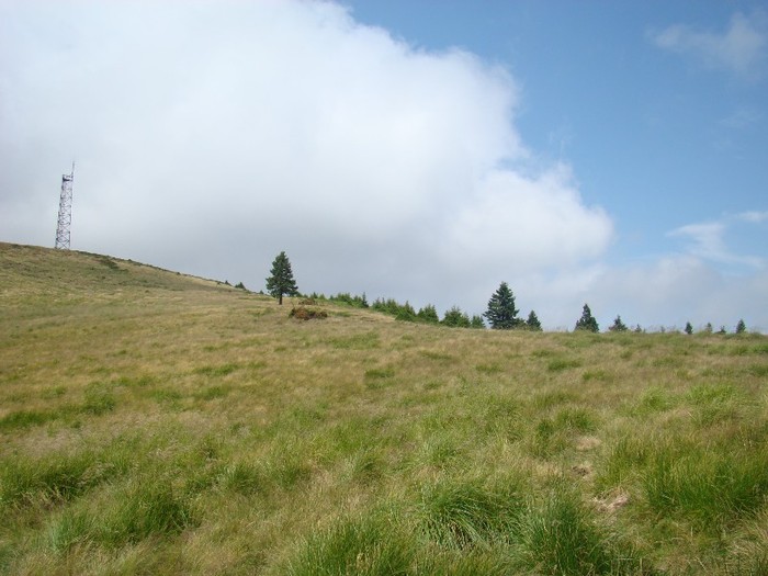 DSC07962