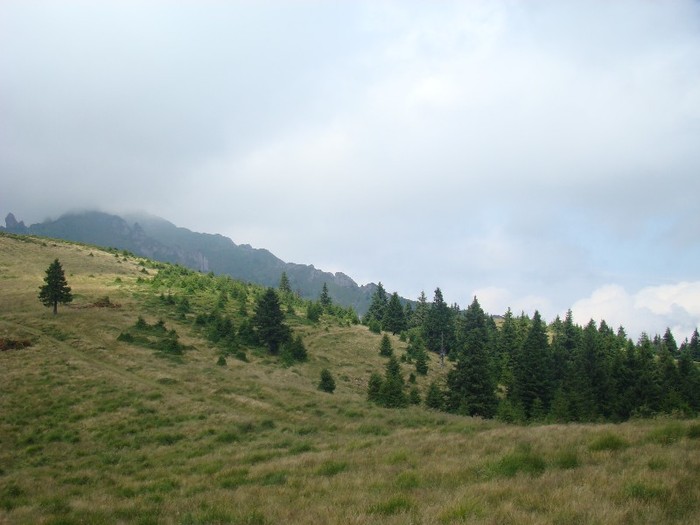 DSC07964