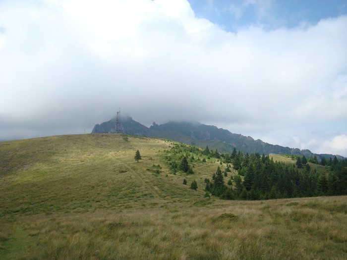 DSC07967