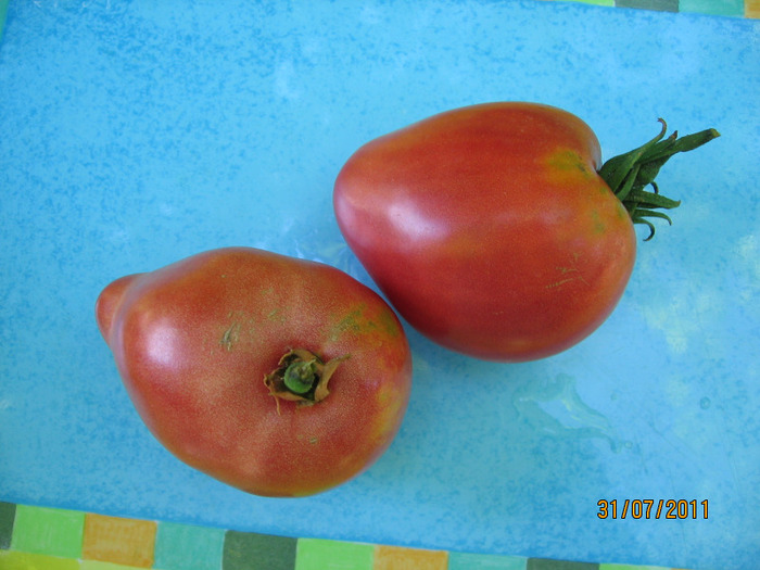 IMG_4196 - 1_Tomate