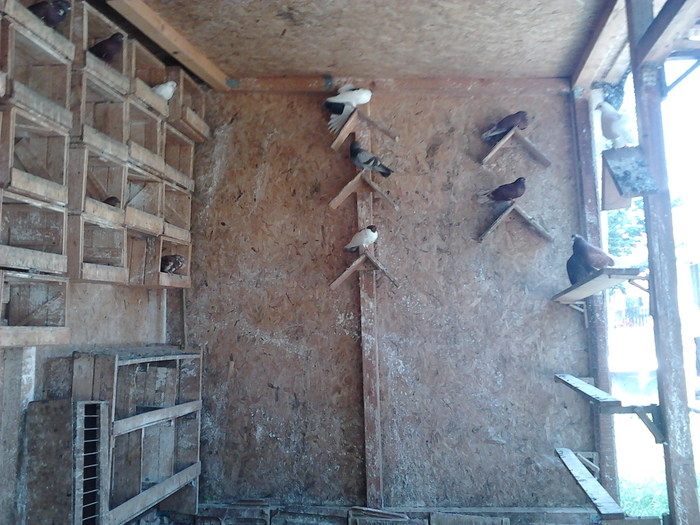 IMG10002 - ploiesteni