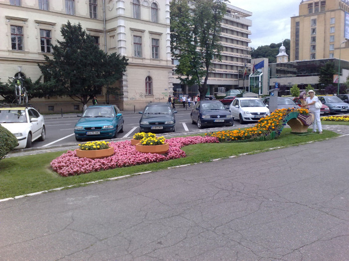 am gàsit un pàun din flori