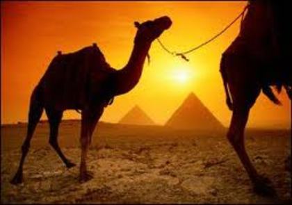 2 - Peisaje din Egipt