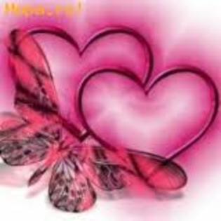 images - and_andreea