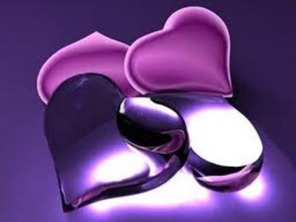 images - and_andreea