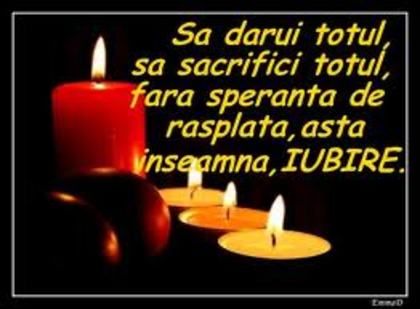 images - and_andreea