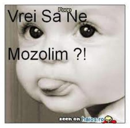 images - and_andreea