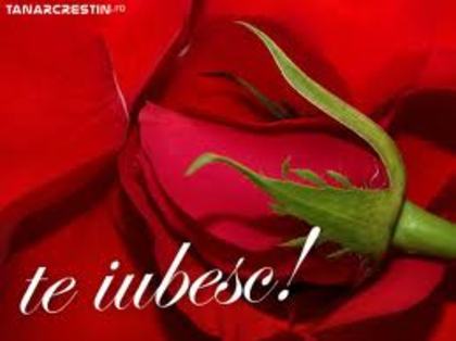 images - and_andreea