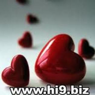 images - and_andreea