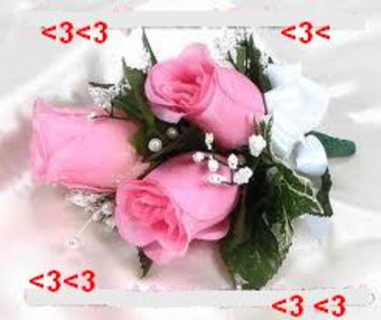 images - and_andreea
