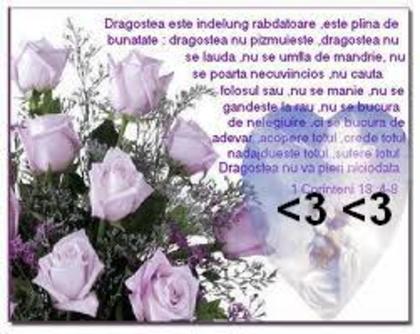 images - and_andreea