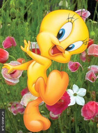 Tweety_475_med - copilarie - desene animate pentru copii