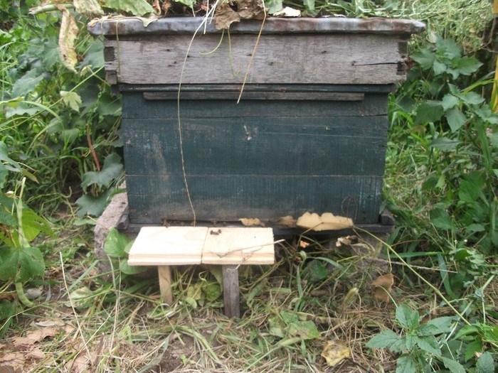 DSCF3601 - Albinute 15 mai 2011