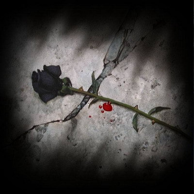 trandafirul despartirii - Poze triste