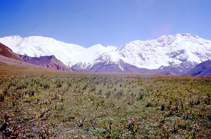 img364 - Pamir 1996