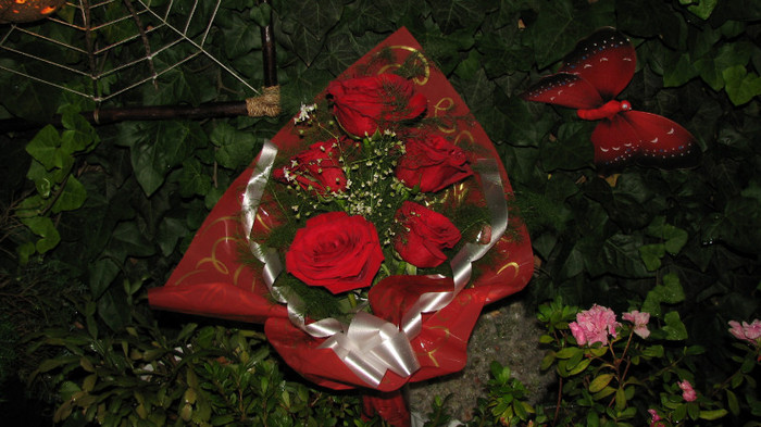 IMG_5344 - trandafiri de la Adrian - ziua mea iunie 2011