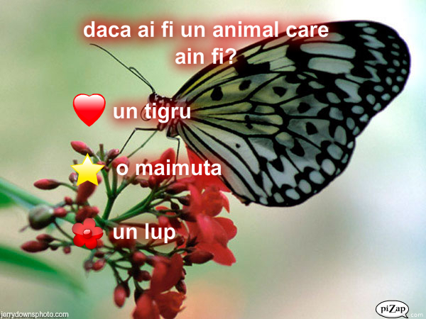 pizap.com13122279241661 - XxXpagina 9XxX