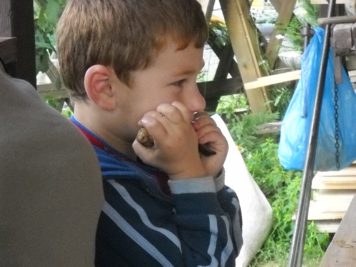 Picture 1800 - COLIBITA 2011