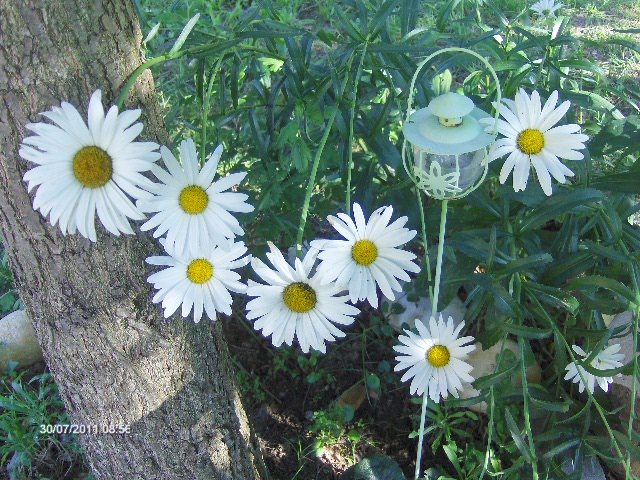 margarete - 07_IULIE