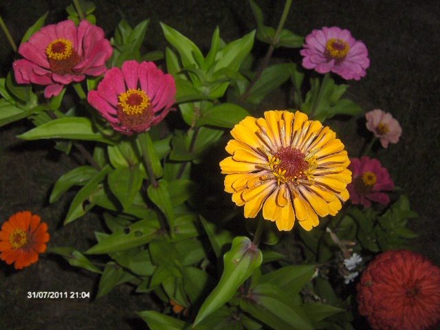 175 - 07_IULIE