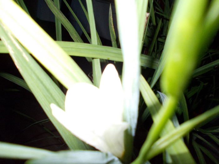 DSCN0070