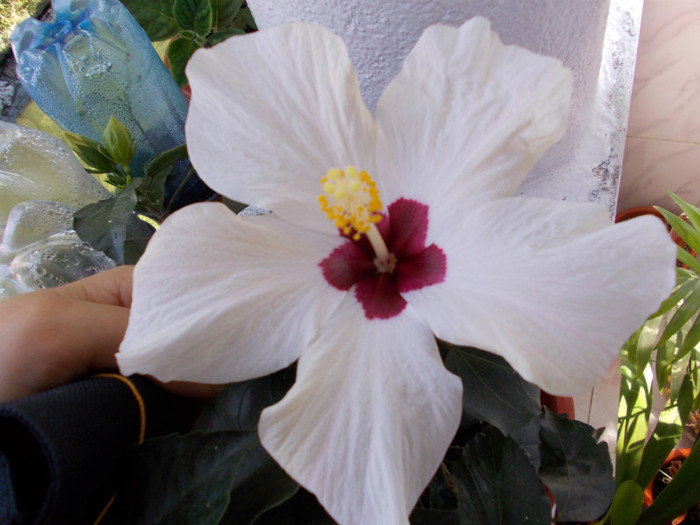 DSCN0084