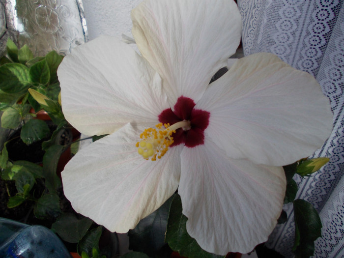 DSCN0105