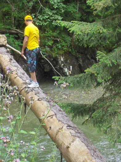 145 - VALEA RAULUI DOAMNEI