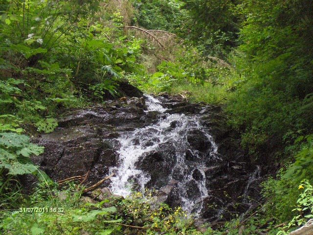 153 - VALEA RAULUI DOAMNEI