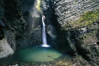 nature - nature