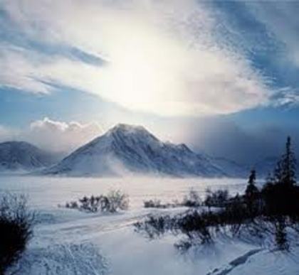 nature - nature