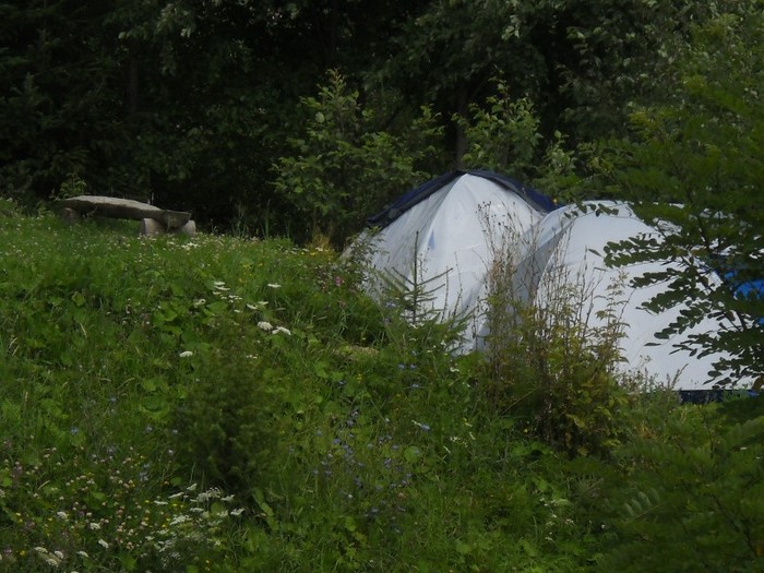 Picture 1894 - COLIBITA 2011