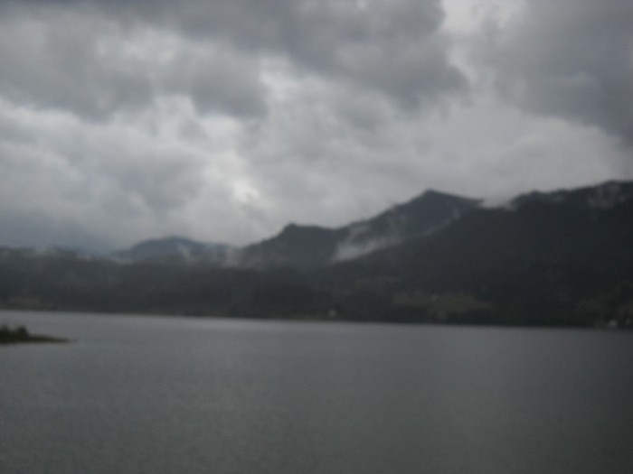 Picture 1933 - COLIBITA 2011