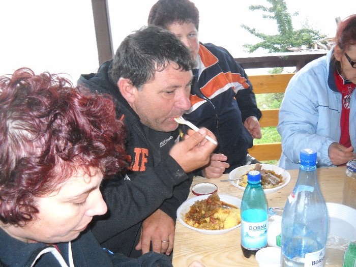 Picture 1981 - COLIBITA 2011