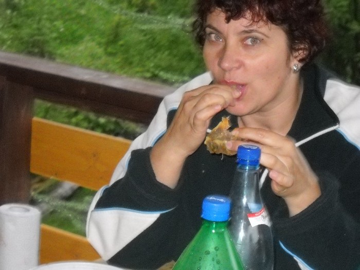 Picture 1992 - COLIBITA 2011