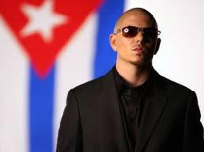 images (3) - Pitbul