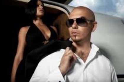 images (5) - Pitbul