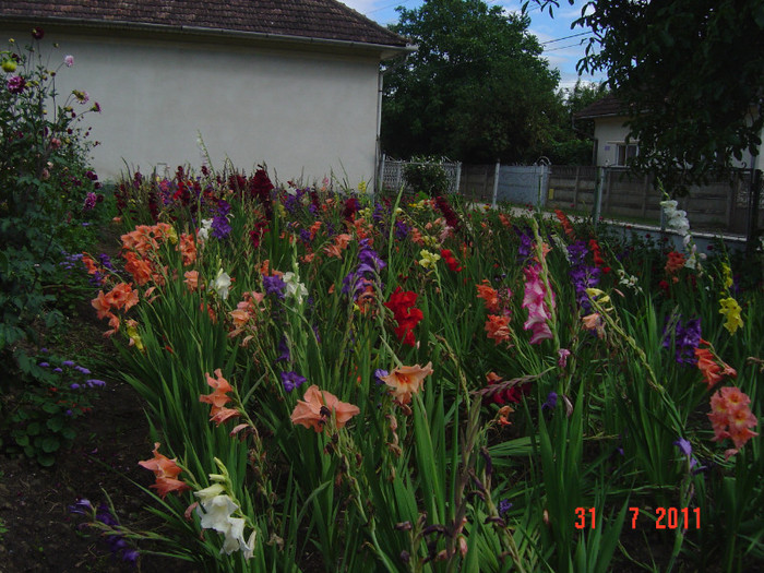 Picture 2329