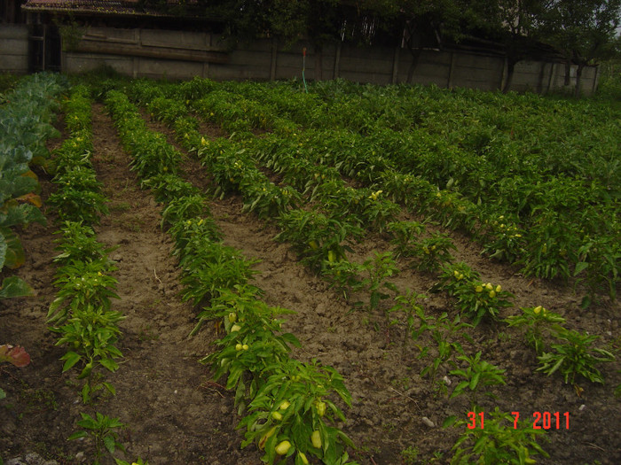 Picture 2302