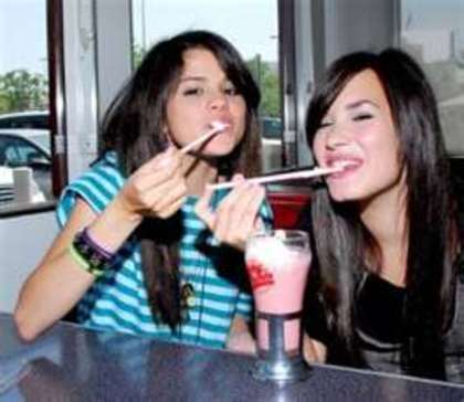 shake - selena si demi