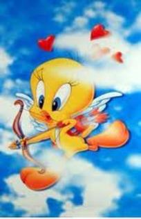 tweety - tweety