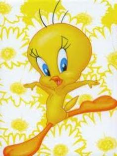 tweety - tweety