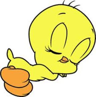 tweety - tweety