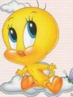 tweety - tweety