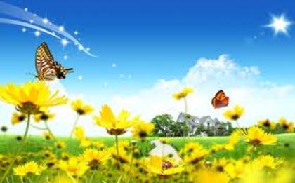 nature