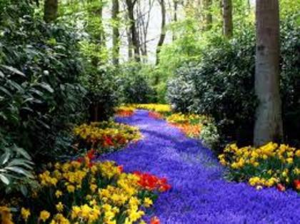 nature