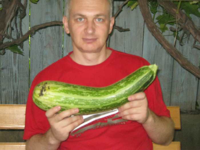 dan aug 2011, mega dovleac